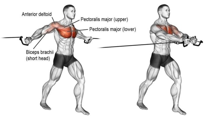 Perfect Your Cable Chest Fly Technique | Tips for Defined Pecs