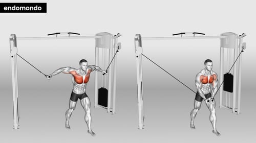 Functional Trainer Exercises for Maximum Strength Gains