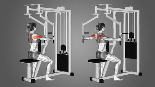 Illustration of muscles targeted by the Pec Fly Rear Delt Machine and how to add on weight when you need to.